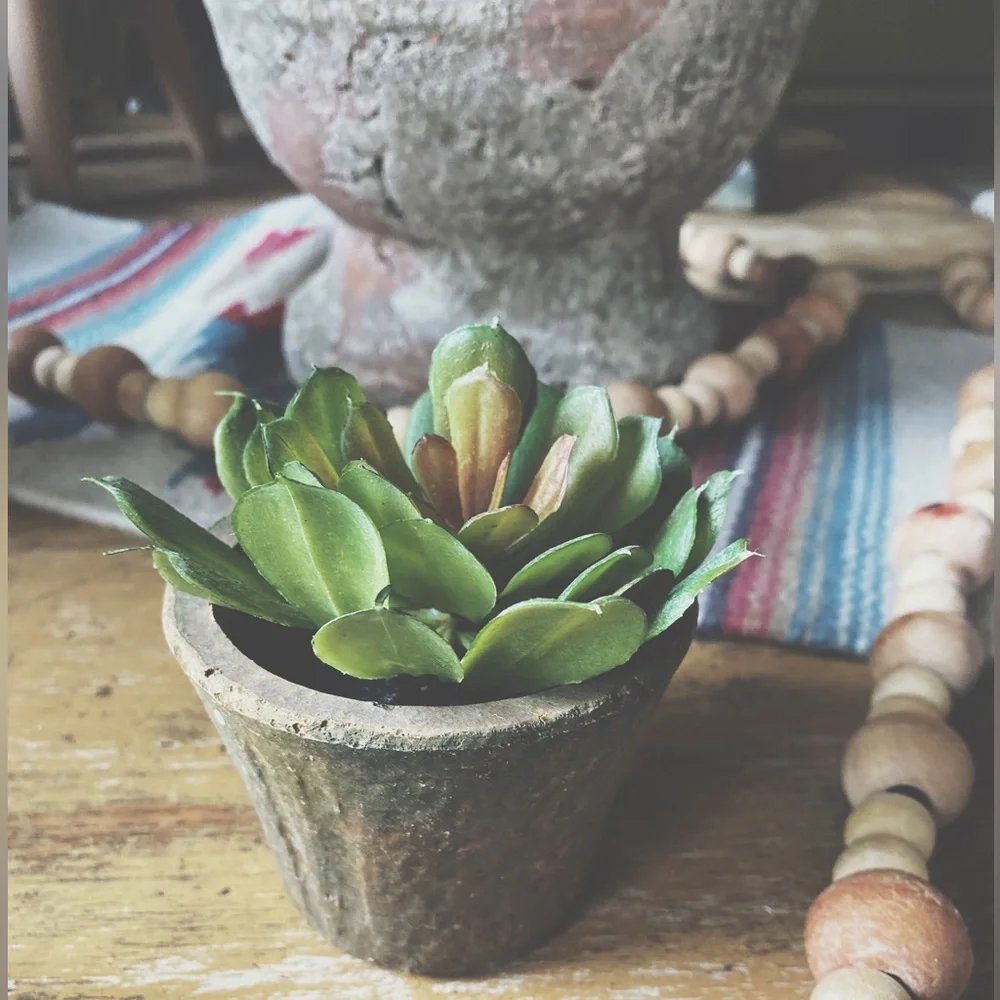 Set of 3 Rustic Clay Potted Faux Succulents - Boho Home Decor
